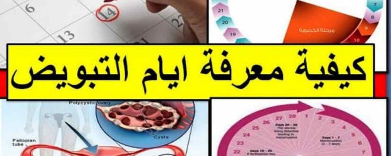 حملتى في اليوم 18 من الدوره شتتوقعين , متى يتم الحمل بعد الدورة