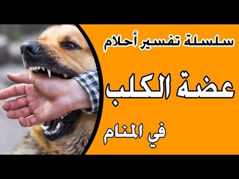 عضة الكلب في اليد اليسرى في المنام , التفسير الصحيح لعضه الكلب